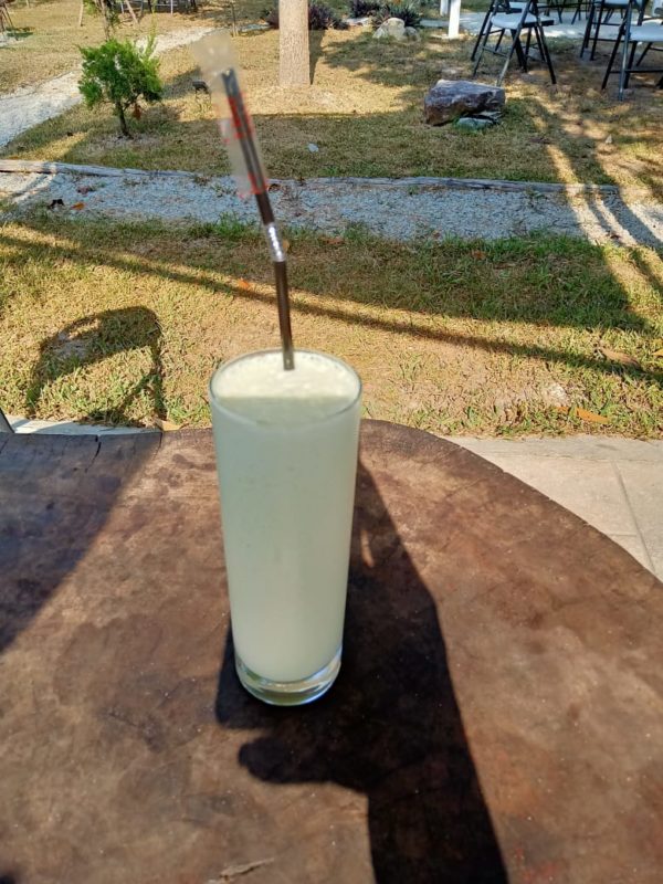 Milkshake Kiwi